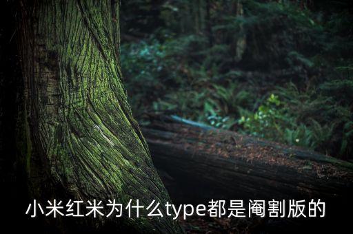 小米紅米為什么type都是閹割版的