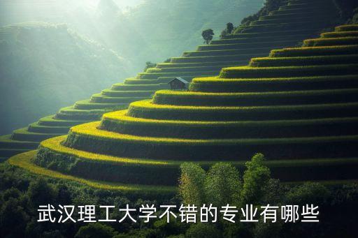 武漢理工大學不錯的專業(yè)有哪些