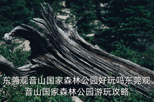 東莞觀音山國家森林公園好玩嗎東莞觀音山國家森林公園游玩攻略
