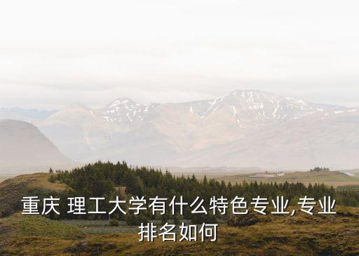 重慶 理工大學有什么特色專業(yè),專業(yè)排名如何