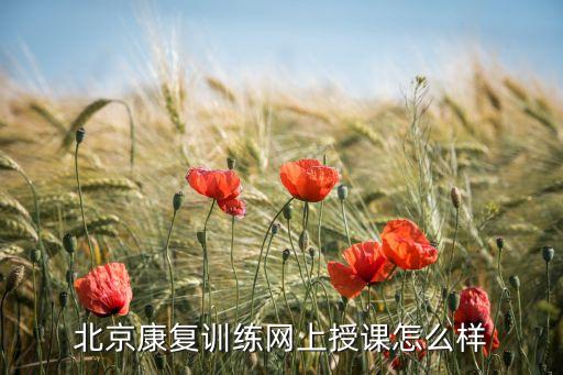 北京康復(fù)訓(xùn)練網(wǎng)上授課怎么樣