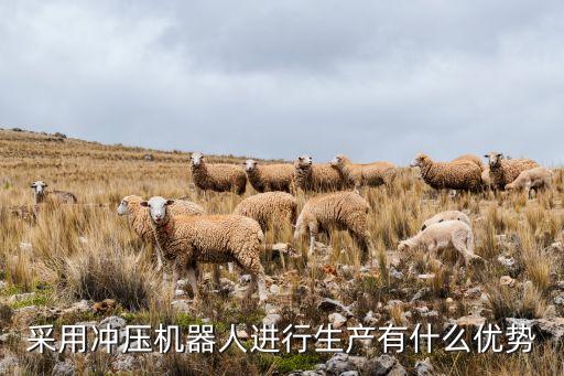 呂梁沖壓自動(dòng)化設(shè)備,如何破解自動(dòng)沖壓生產(chǎn)線落地難