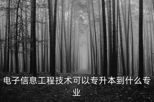 電子信息工程技術(shù)可以專升本到什么專業(yè)