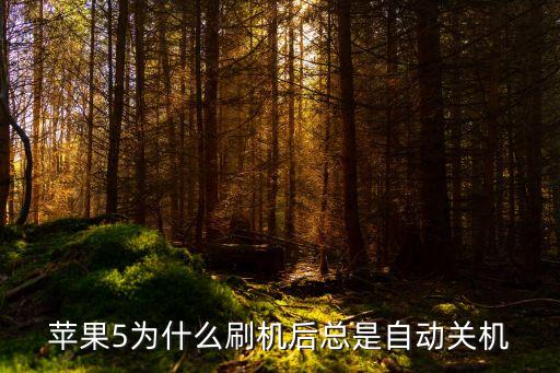 蘋(píng)果5為什么刷機(jī)后總是自動(dòng)關(guān)機(jī)