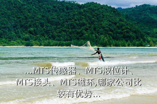 ...MTS傳感器、MTS液位計、MTS接頭、MTS磁環(huán),哪家公司比較有優(yōu)勢...