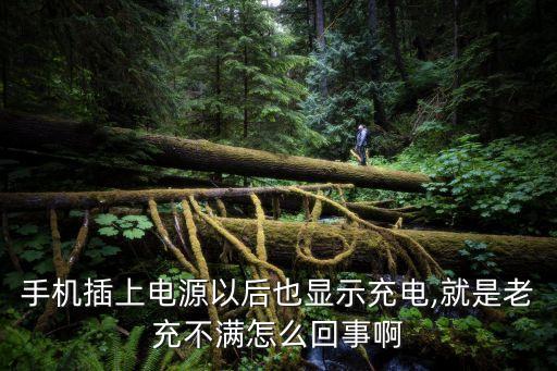 手機(jī)插上電源以后也顯示充電,就是老充不滿怎么回事啊