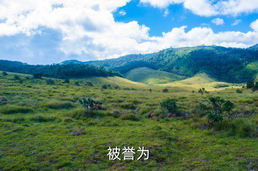 被譽(yù)為