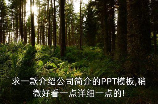 求一款介紹公司簡(jiǎn)介的PPT模板,稍微好看一點(diǎn)詳細(xì)一點(diǎn)的!
