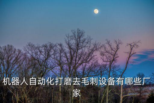 機(jī)器人自動(dòng)化打磨去毛刺設(shè)備有哪些廠家