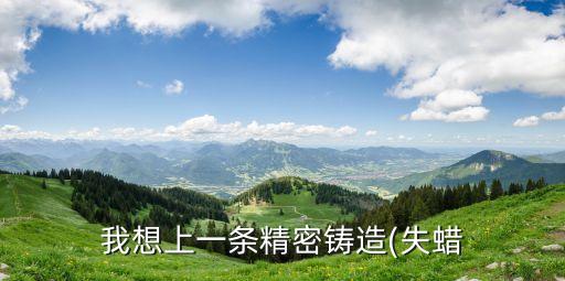 我想上一條精密鑄造(失蠟
