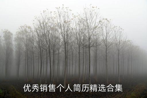 優(yōu)秀銷售個(gè)人簡(jiǎn)歷精選合集