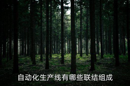 自動化生產(chǎn)線有哪些聯(lián)結(jié)組成