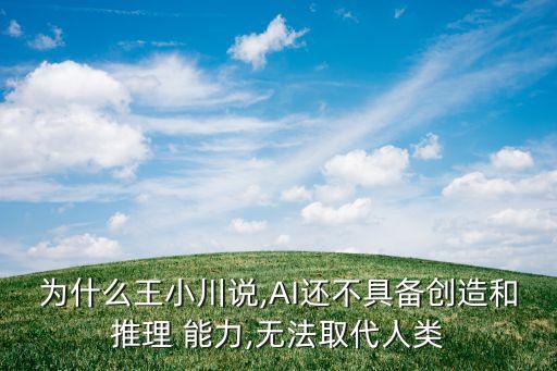 為什么王小川說,AI還不具備創(chuàng)造和推理 能力,無法取代人類