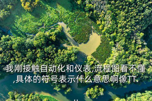 我剛接觸自動(dòng)化和儀表,流程圖看不懂,具體的符號(hào)表示什么意思啊像TT...