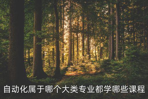 自動化屬于哪個大類專業(yè)都學(xué)哪些課程