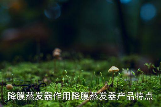 降膜蒸發(fā)器作用降膜蒸發(fā)器產品特點