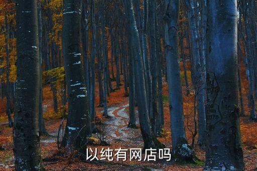 以純有網(wǎng)店嗎