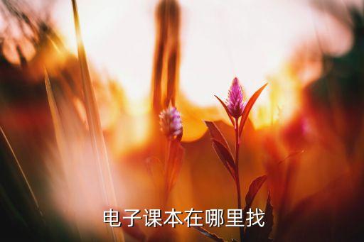  電子課本在哪里找