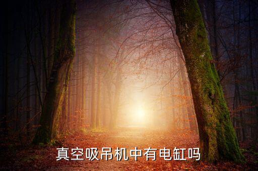 真空吸吊機(jī)中有電缸嗎