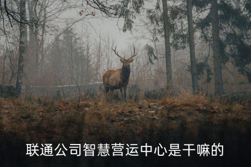 聯(lián)通公司智慧營運中心是干嘛的