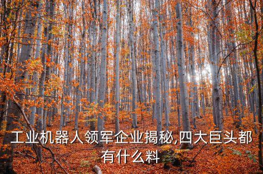工業(yè)機器人領(lǐng)軍企業(yè)揭秘,四大巨頭都有什么料