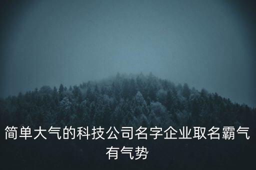 簡(jiǎn)單大氣的科技公司名字企業(yè)取名霸氣有氣勢(shì)