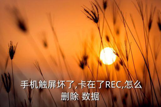  手機觸屏壞了,卡在了REC,怎么刪除 數(shù)據(jù)