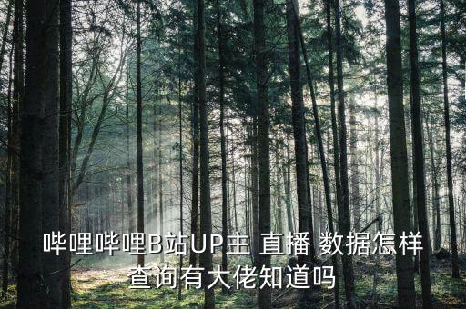 網(wǎng)絡(luò)直播流水?dāng)?shù)據(jù)統(tǒng)計(jì),網(wǎng)易流水?dāng)?shù)據(jù)統(tǒng)計(jì)