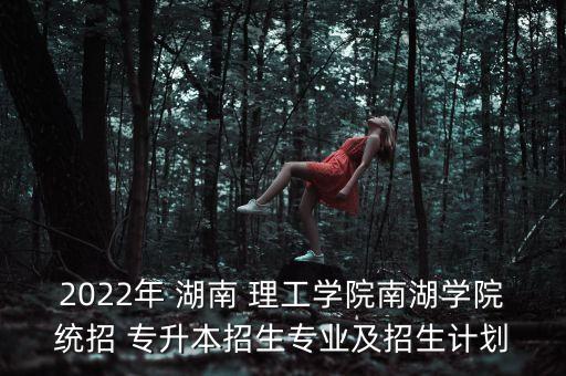 2022年 湖南 理工學(xué)院南湖學(xué)院統(tǒng)招 專升本招生專業(yè)及招生計劃