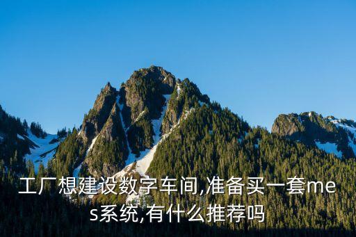 工廠想建設(shè)數(shù)字車間,準(zhǔn)備買一套mes系統(tǒng),有什么推薦嗎