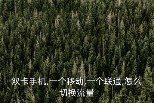 雙卡手機(jī),一個(gè)移動(dòng),一個(gè)聯(lián)通,怎么切換流量