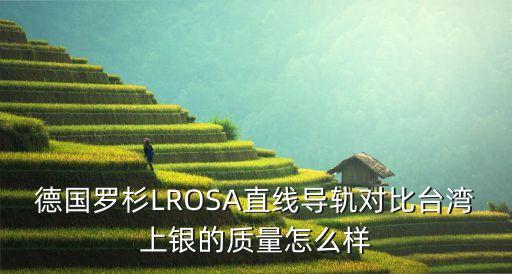 德國(guó)羅杉LROSA直線導(dǎo)軌對(duì)比臺(tái)灣上銀的質(zhì)量怎么樣