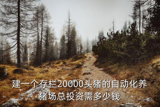 建一個存欄20000頭豬的自動化養(yǎng)豬場總投資需多少錢