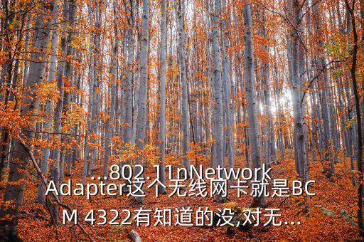 ...802.11nNetworkAdapter這個無線網(wǎng)卡就是BCM 4322有知道的沒,對無...
