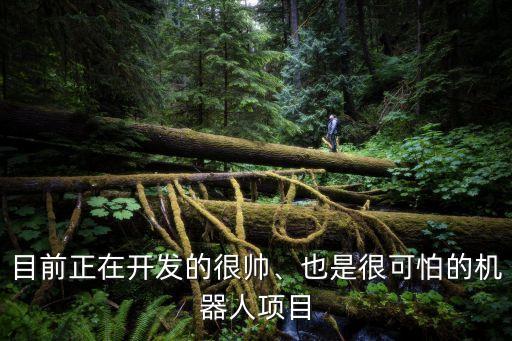 目前正在開發(fā)的很帥、也是很可怕的機(jī)器人項(xiàng)目