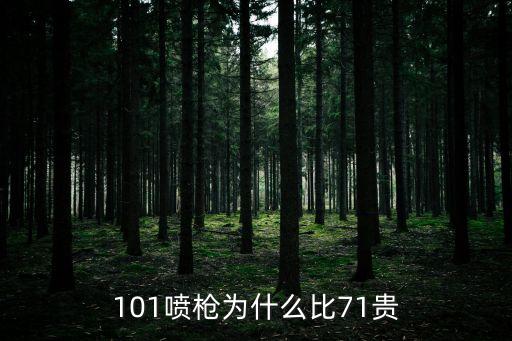 101噴槍為什么比71貴