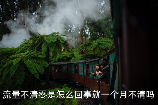 流量不清零是怎么回事就一個(gè)月不清嗎