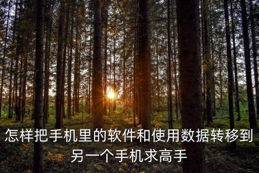 怎樣把手機里的軟件和使用數(shù)據(jù)轉(zhuǎn)移到另一個手機求高手
