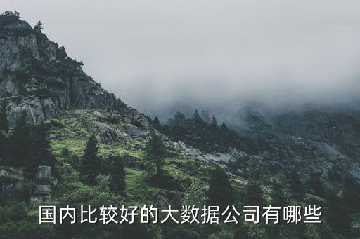 國(guó)內(nèi)比較好的大數(shù)據(jù)公司有哪些