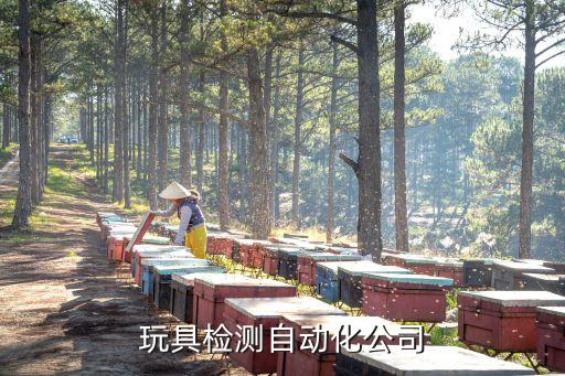 麗水玩具檢測自動(dòng)化公司