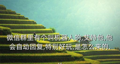 微信聊天機(jī)器人安全嗎,聊天機(jī)器人如何和自動(dòng)聊天軟件聊天?