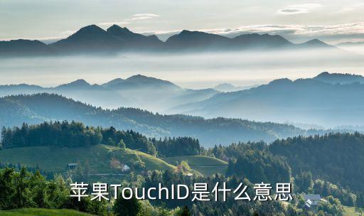 蘋(píng)果TouchID是什么意思