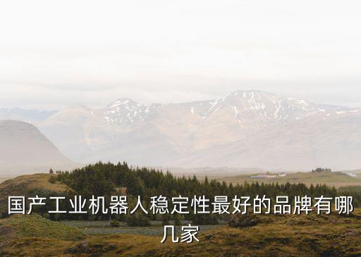 國(guó)產(chǎn)工業(yè)機(jī)器人穩(wěn)定性最好的品牌有哪幾家