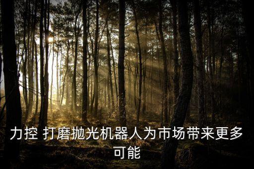 木工打磨機(jī)械自動化設(shè)備,德國木工自動化機(jī)械視頻大全