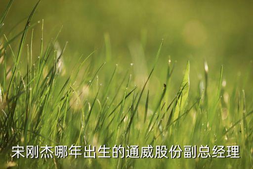 宋剛杰哪年出生的通威股份副總經(jīng)理