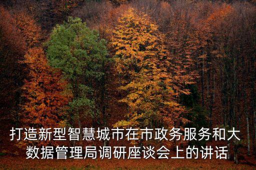 打造新型智慧城市在市政務(wù)服務(wù)和大 數(shù)據(jù)管理局調(diào)研座談會(huì)上的講話