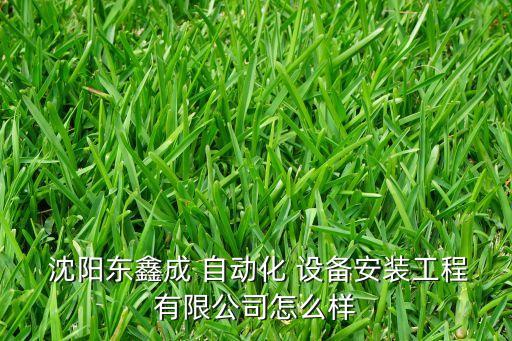 沈陽(yáng)機(jī)械設(shè)備自動(dòng)化,自動(dòng)化機(jī)械設(shè)備有限公司