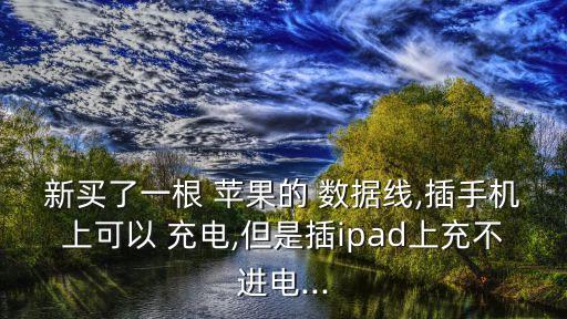 新買(mǎi)了一根 蘋(píng)果的 數(shù)據(jù)線,插手機(jī)上可以 充電,但是插ipad上充不進(jìn)電...