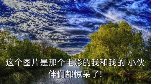 這個(gè)圖片是那個(gè)電影的我和我的 小伙伴們都驚呆了!