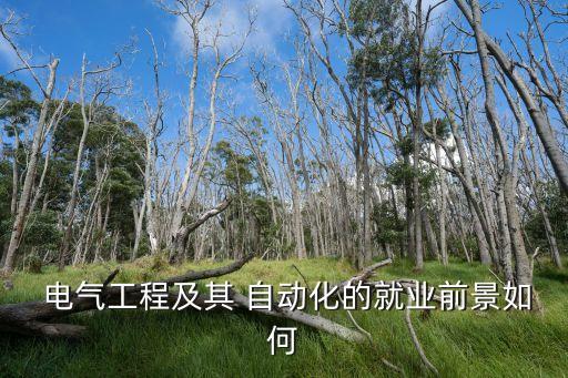  電氣工程及其 自動化的就業(yè)前景如何